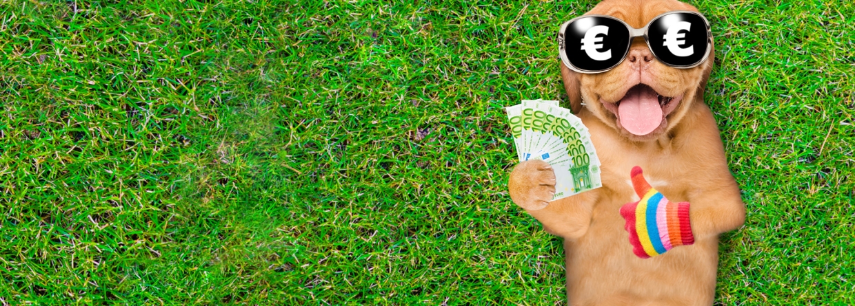 Puppy met zonnebril ligt op het gras met geld in zijn poot en duim omhoog